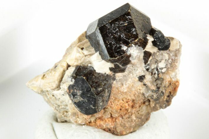 Lustrous Chocolate Fluor-Buergerite Crystals - Mexico #317397